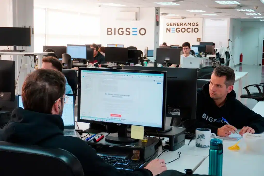 Opiniones de BigSEO